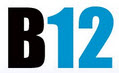 Фирма "Б12"